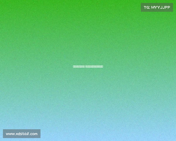 美洲热浪席卷绿茵 巅峰对决燃动双陆荣耀征途